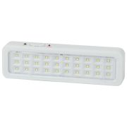 Светильник светодиодный DBA-105-0-20 30LED 5ч IP20 аварийный постоянный/непостоянный Эра Б0044398