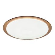 Светильник светодиодный SPB-6 70Вт 3000-6500К 5950лм «Saturn Fashion» с пультом ДУ 556х76мм кор. Эра Б0036368