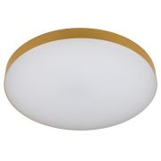 Светильник светодиодный Relict 48 Pult SPB-6-60-RC MG 60Вт 3000-6500К потолочный с ДУ золото ЭРА Б0059498