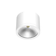 Светильник светодиодный ДПО39-25-001 Сylinder 840 Ардатов 1193425001