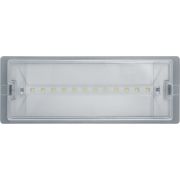 Светильник светодиодный 95 290 NEF-19 6Вт IP65 100лм 220-240В аккум. LiFePO4 600mAh аварийно-эвакуационный Navigator 95290