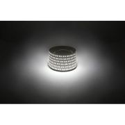 Лента светодиодная LS2835 -14.4-180-12-4000K-IP20-1 year-5m нейтр. бел. (уп.5м) Эра Б0059904